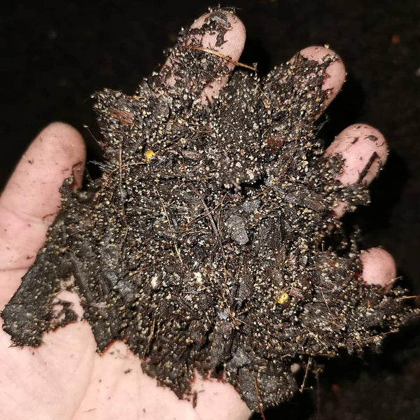 Potting Mix & GT Foliage Focus