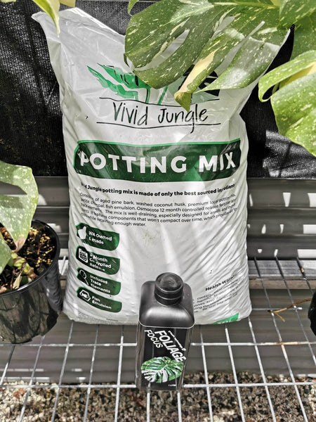 Potting Mix & GT Foliage Focus